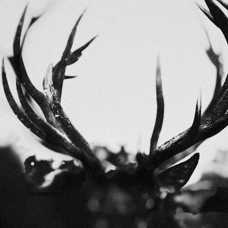 Album review: Ihsahn – Ihsahn