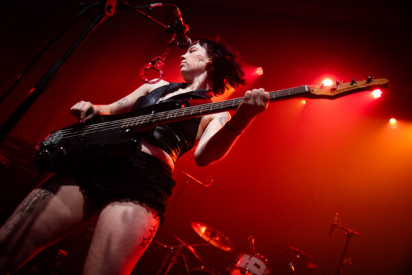 Baby Mullet (4) Baby Mullet (4)