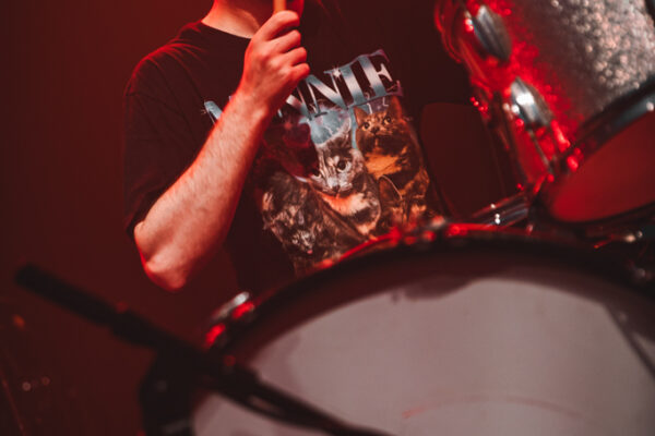 Baby Mullet (6) Baby Mullet (6)