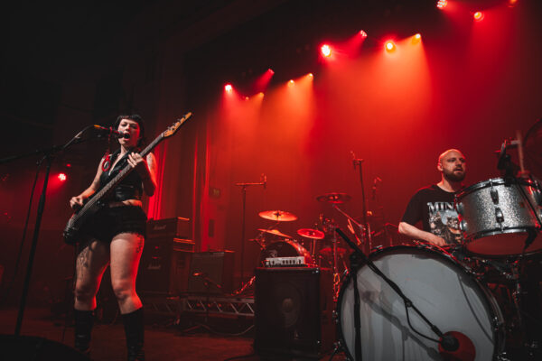 Baby Mullet (8) Baby Mullet (8)