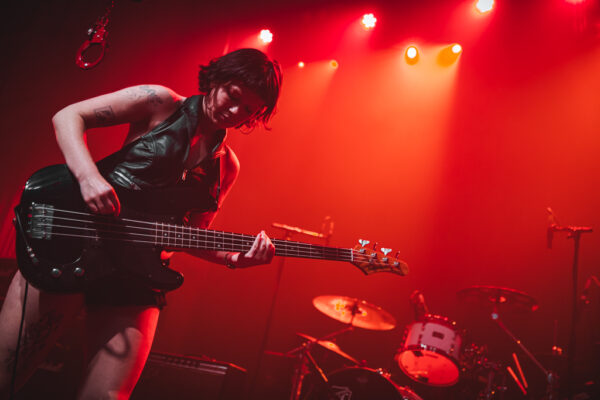 Baby Mullet (9) Baby Mullet (9)