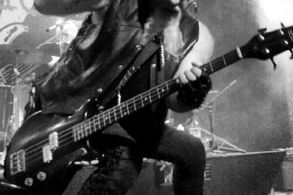 Steve Tyler - Bengal Tigers Steve Tyler - Bengal Tigers